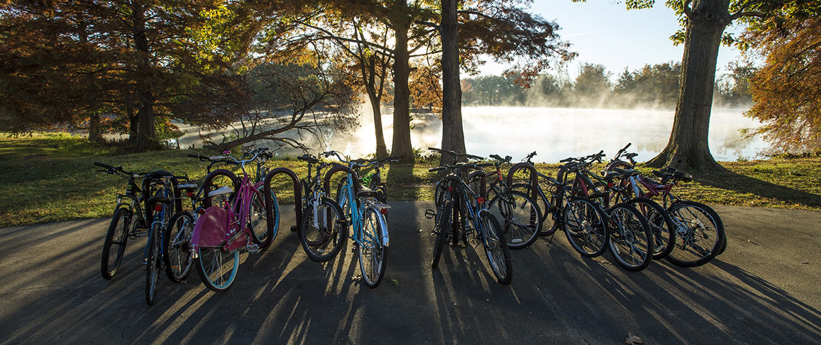 bikes by campus lake